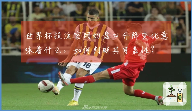 世界杯投注官网的盘口升降变化意味着什么，如何判断其可靠性？